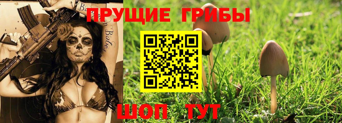 Галлюциногенные грибы Psilocybine cubensis  Вход с VPN  купить наркотики цена  Рассказово  Псилоцибиновые грибы ЛСД 