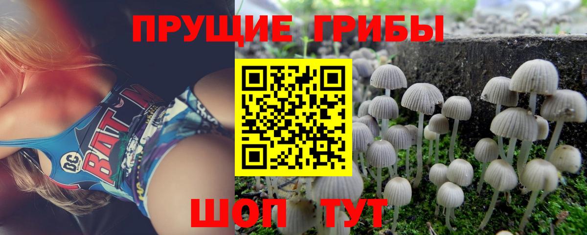Галлюциногенные грибы Psilocybe Рассказово